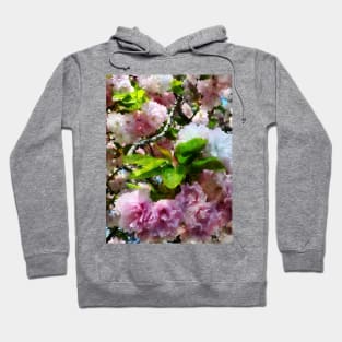 Spring - Double Cherry Blossoms Hoodie